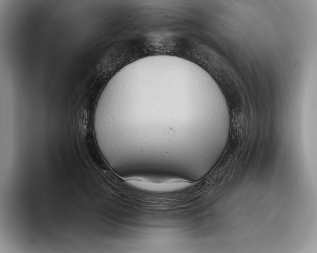 X0000096220752200802151522