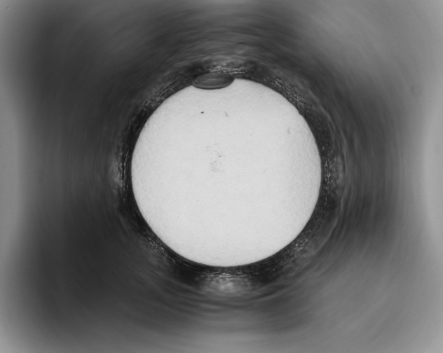 X0000096220755200802151522