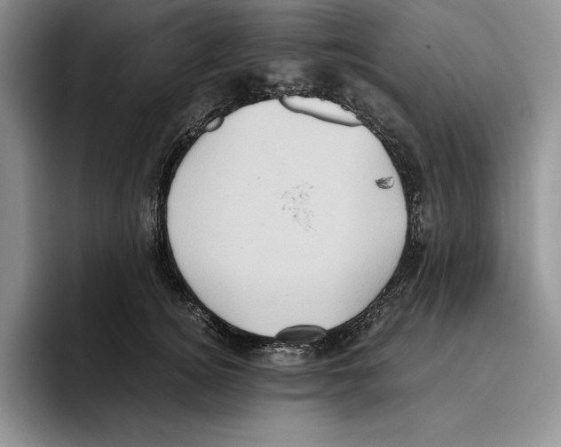 X0000096220756200802151522