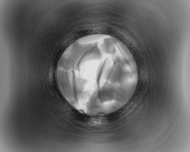 X0000096220757200802151522