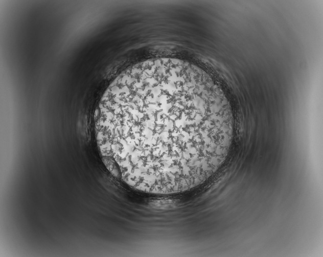 X0000096220759200802151522