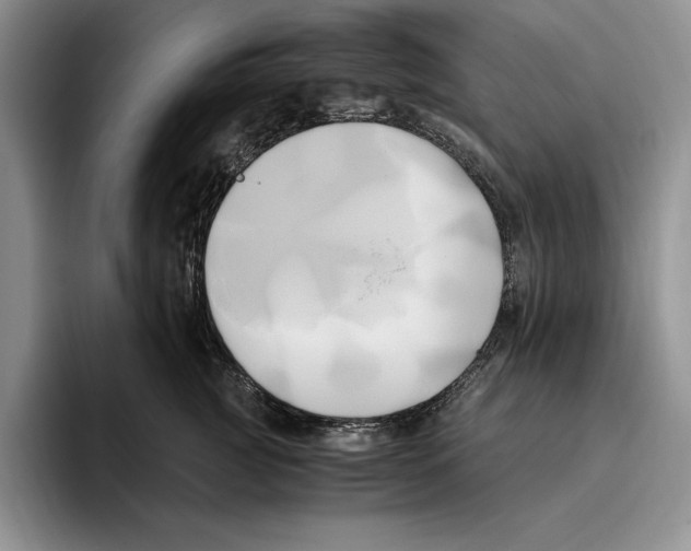 X0000096220761200802151522