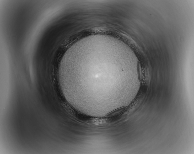 X0000096220762200802151522