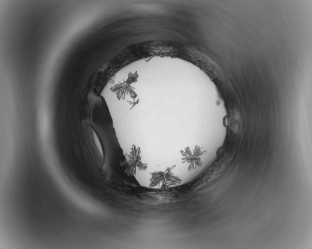 X0000096220763200802151522