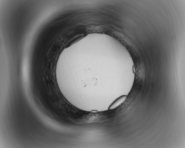 X0000096220764200802151522