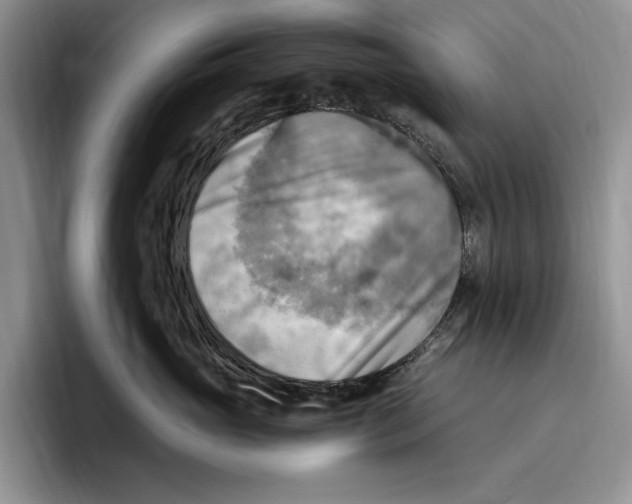 X0000096220765200802151522
