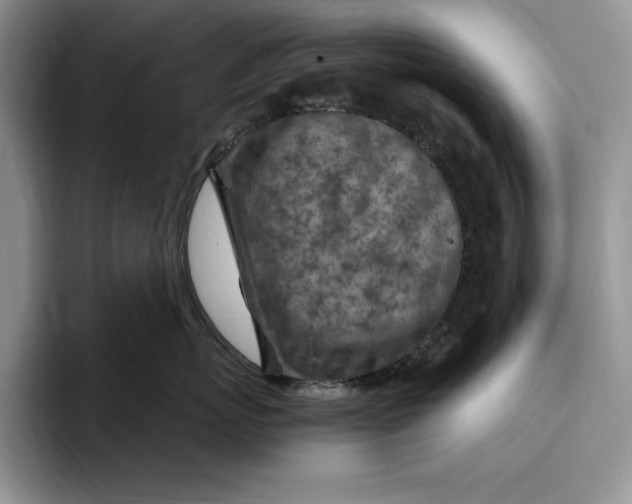 X0000096220767200802151522