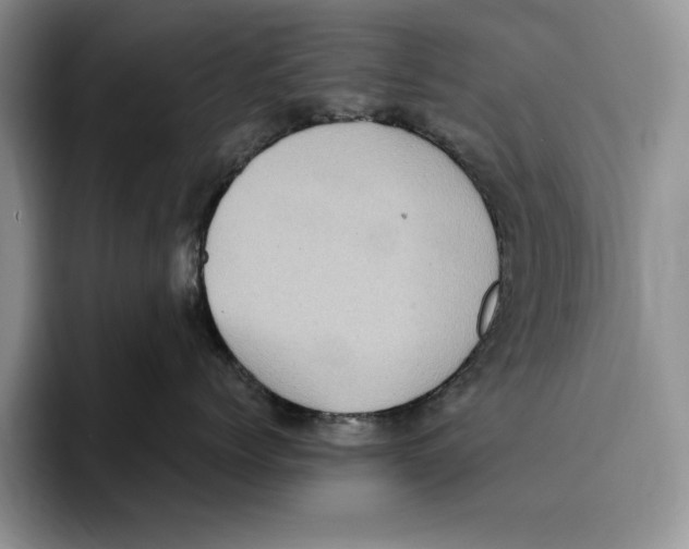 X0000096220768200802151522