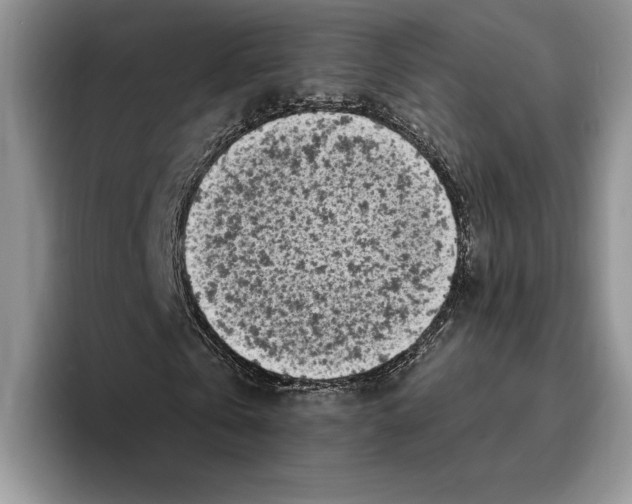 X0000096220769200802151521