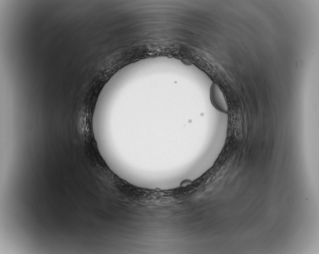 X0000096220770200802151521