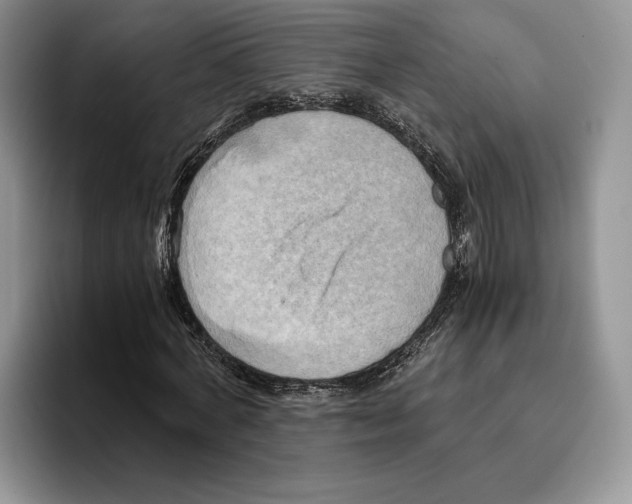 X0000096220772200802151521