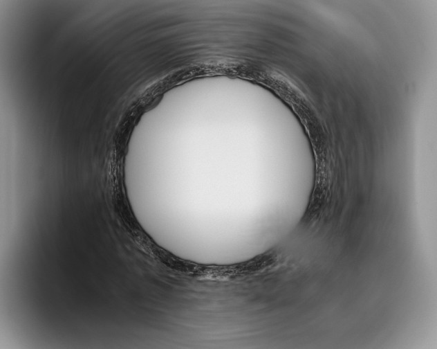 X0000096220773200802151521