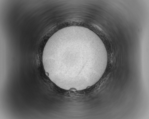 X0000096220774200802151521