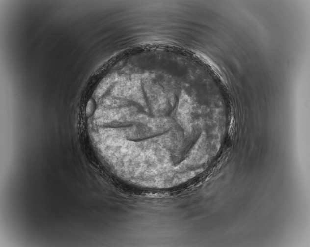 X0000096220775200802151521