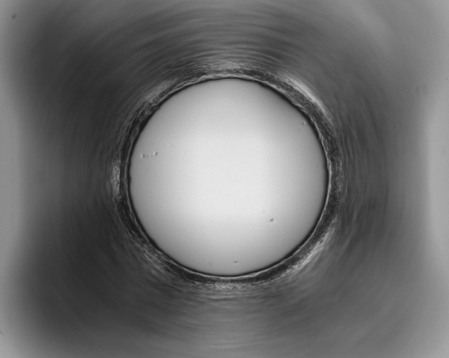 X0000096220777200802151521