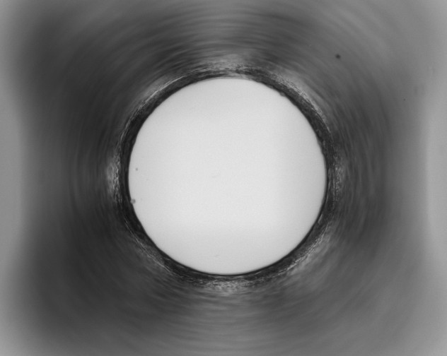 X0000096220778200802151521