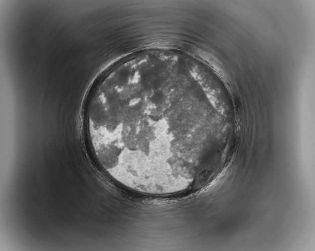 X0000096220779200802151521