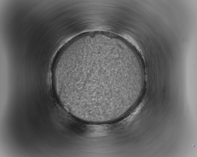 X0000096220781200802151521