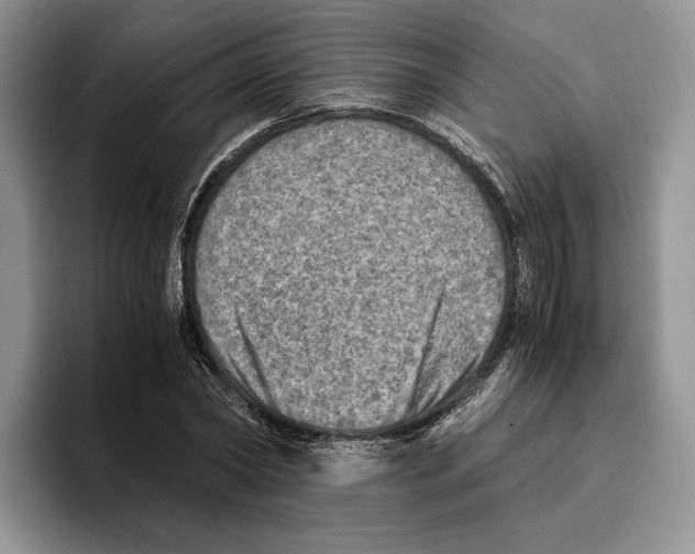 X0000096220782200802151521