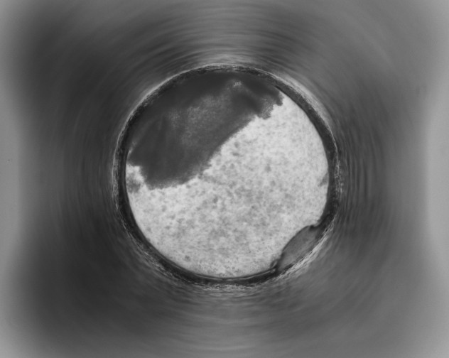 X0000096220783200802151521