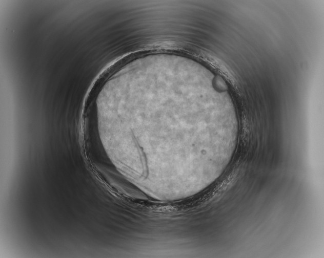 X0000096220784200802151521