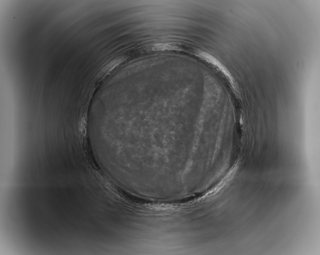 X0000096220785200802151521