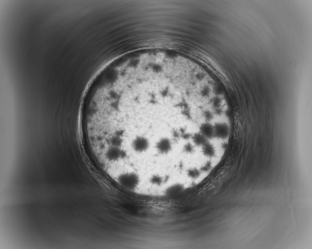 X0000096220788200802151521