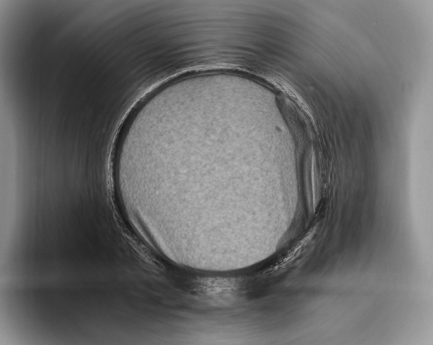 X0000096220789200802151521