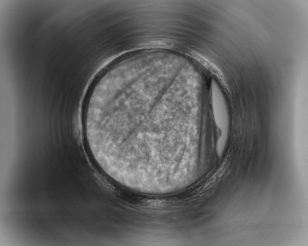 X0000096220792200802151521