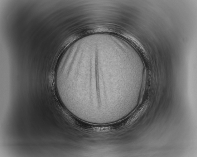 X0000096220793200802151521