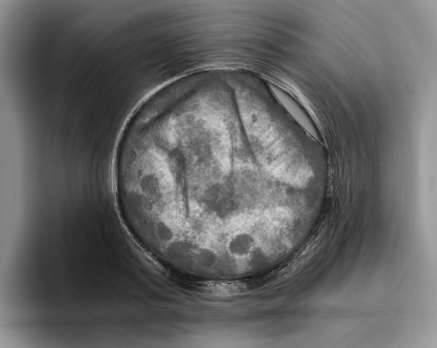 X0000096220795200802151521