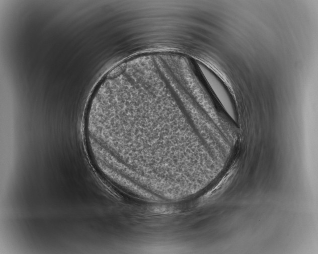 X0000096220797200802151521