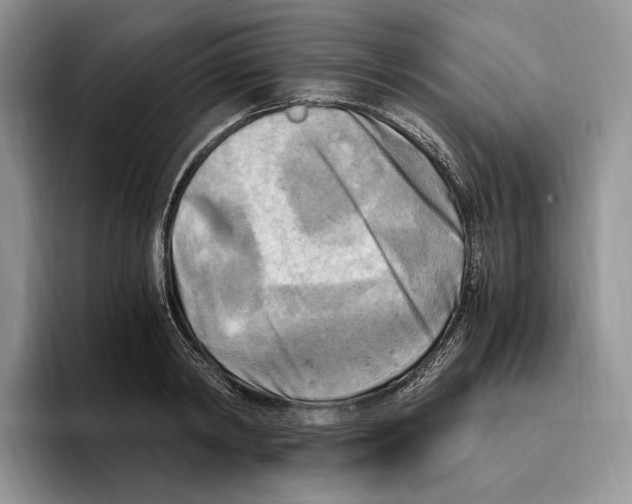 X0000096220798200802151521