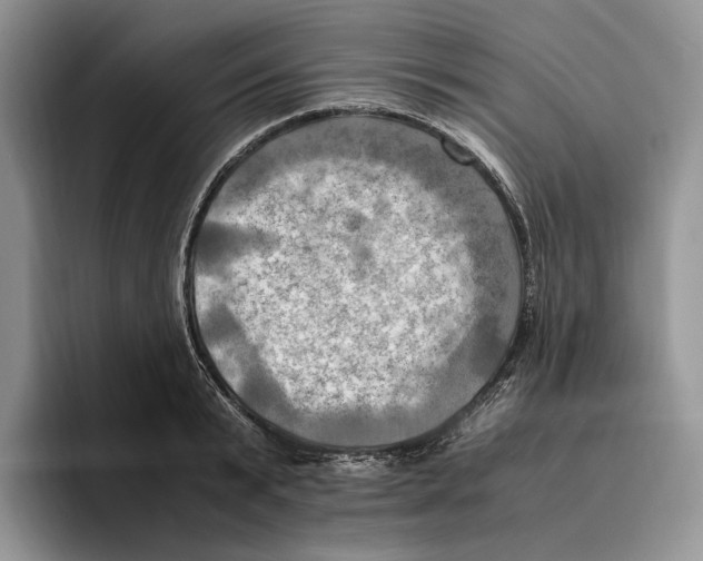 X0000096220799200802151521