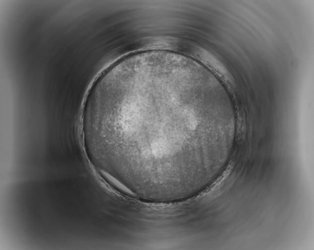 X0000096220800200802151521