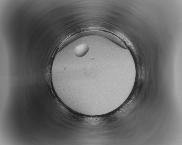 X0000096220801200802151521