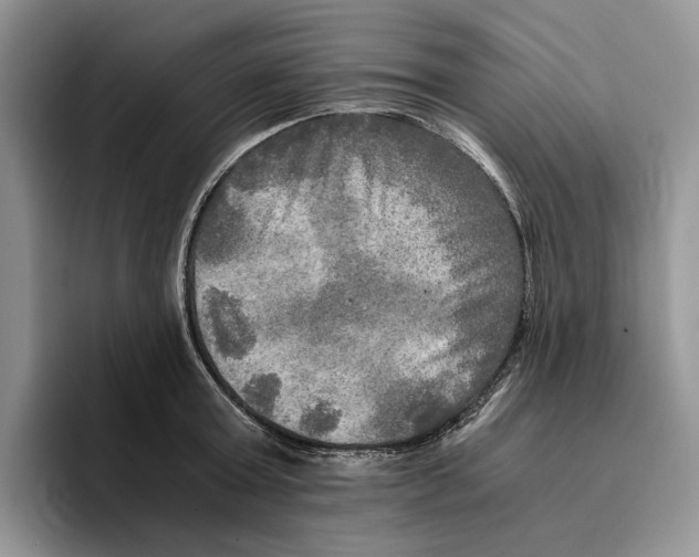 X0000096220803200802151521