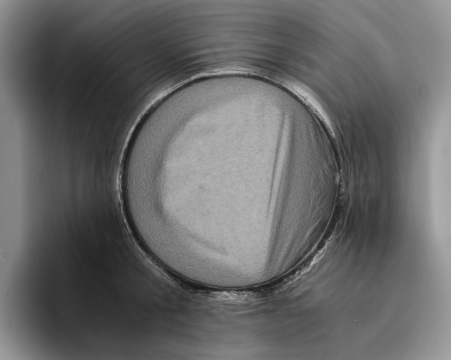 X0000096220805200802151521