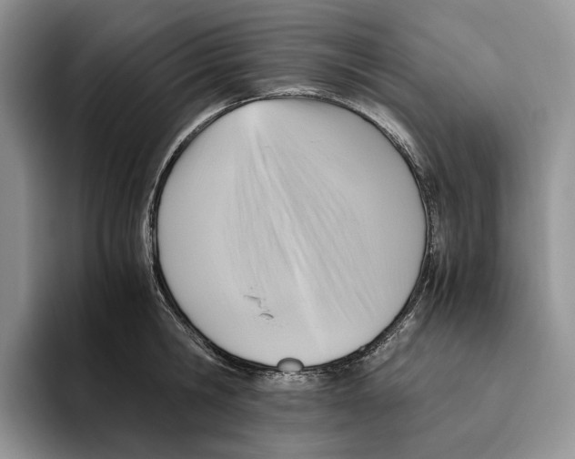 X0000096220806200802151521