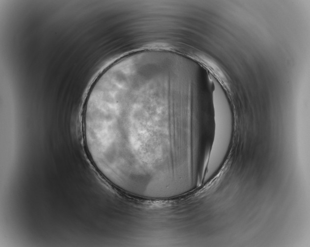 X0000096220808200802151521