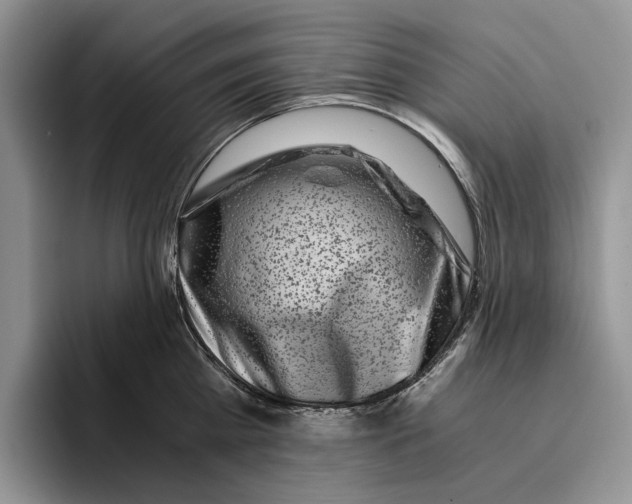 X0000096220809200802151521