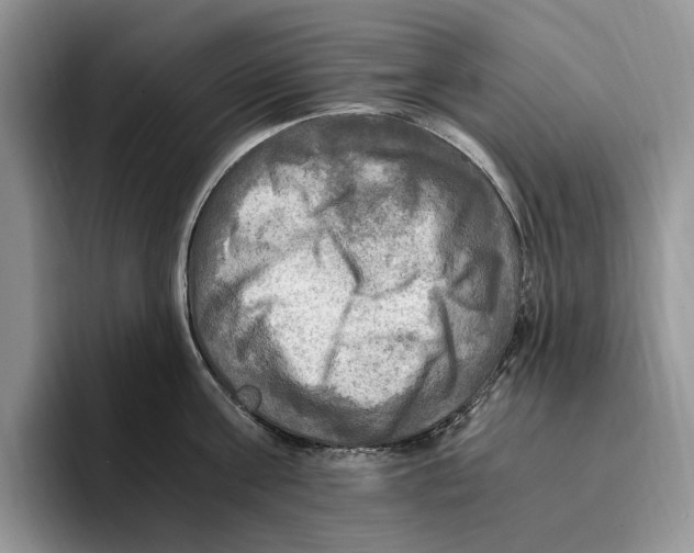 X0000096220811200802151521