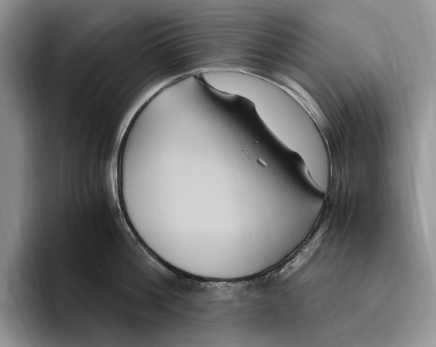 X0000096220812200802151521