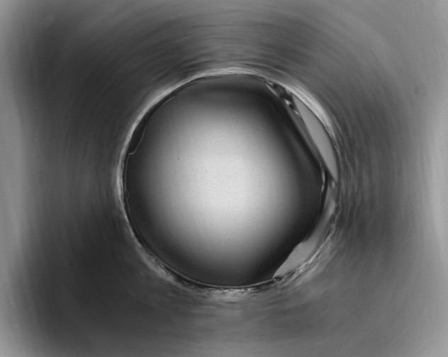 X0000096220813200802151521