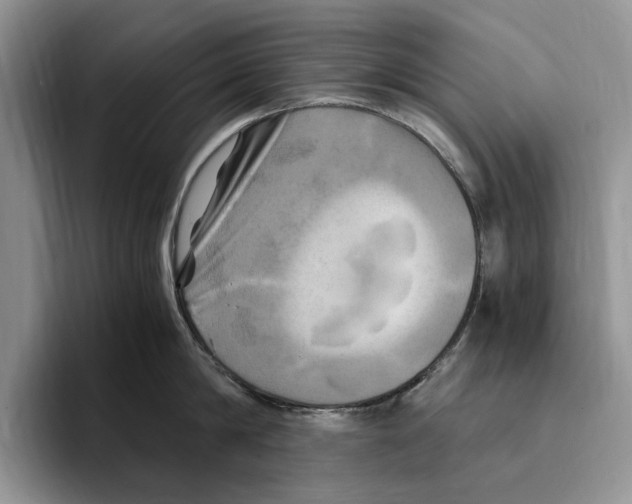 X0000096220814200802151521