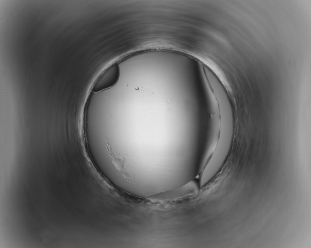 X0000096220815200802151521