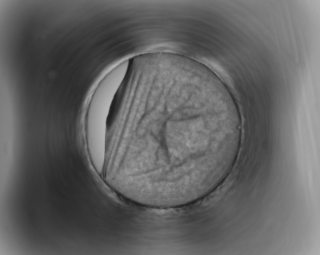 X0000096220816200802151521