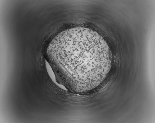 X0000096220818200802151520
