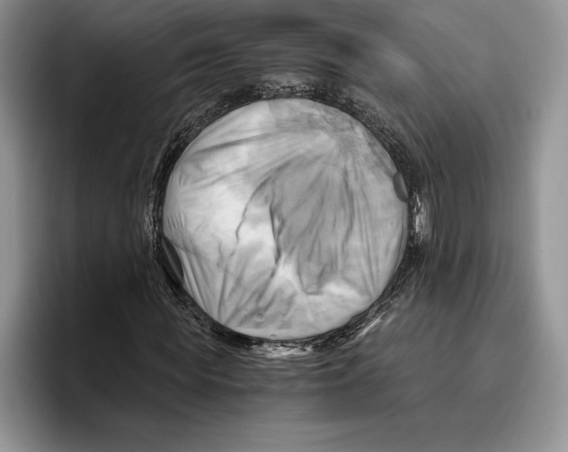 X0000096220819200802151520