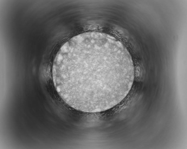 X0000096220820200802151520